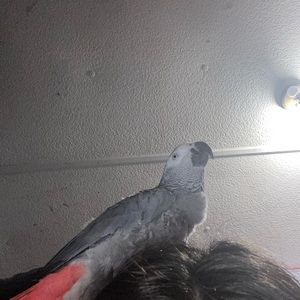 Meet your Posher, Fatima